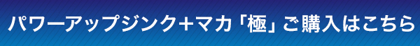 定期購入だとさらにお得