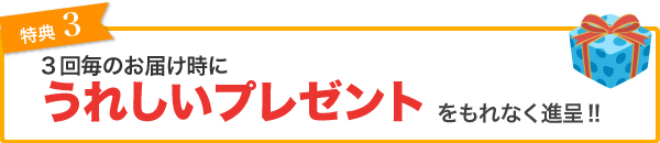 特典3 3回毎のお届け時にうれしいプレゼントをもれなく進呈!!