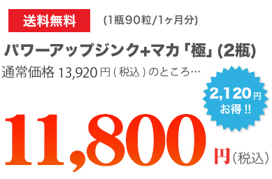 "送料無料(1瓶 200錠/3ヶ月分)パワーアップジンクプラスマカ(2瓶)通常価格20,160円のところ…18,510円(税込)1,650円お得!!