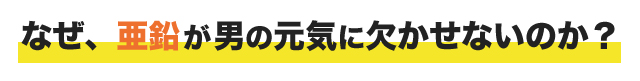 なぜ、亜鉛が男の元気に欠かせないのか?
