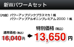 新WパワーAセット