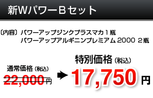 新WパワーBセット