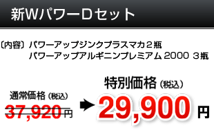 新WパワーDセット